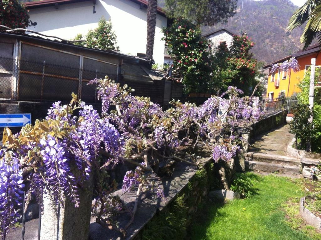 كانوبيو B&B Villa Dei Pini المظهر الخارجي الصورة