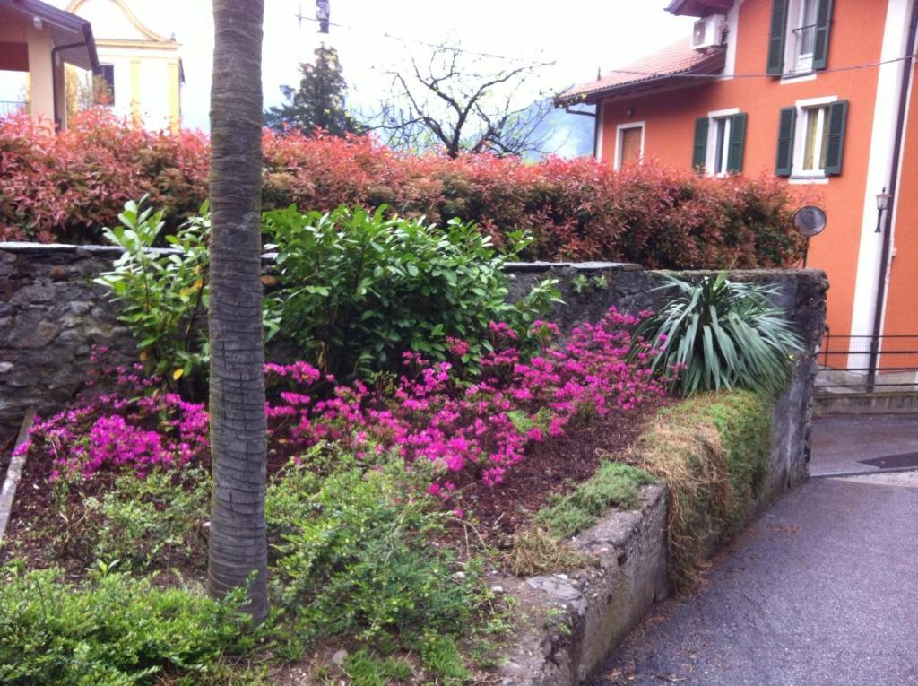 كانوبيو B&B Villa Dei Pini المظهر الخارجي الصورة